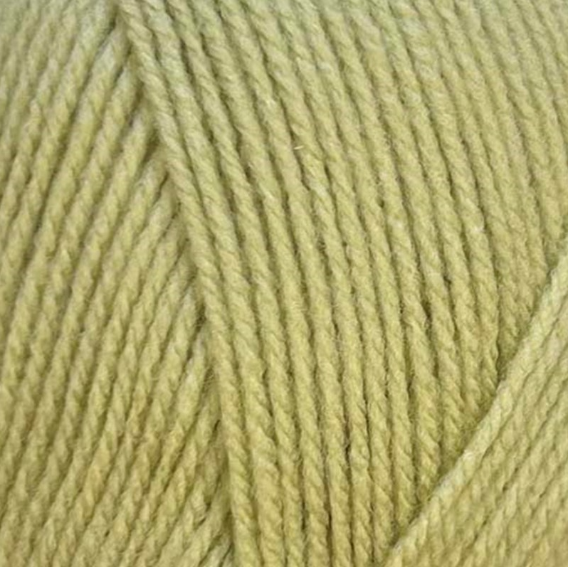 Stylecraft Special DK Mushy Peas 2173