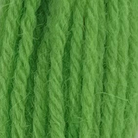Appletons Crewel Wool 2 Ply 423 Leaf Green skein