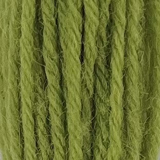 Appletons Crewel Wool 2 Ply 543 Early English Green skein