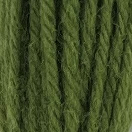 Appletons Crewel Wool 2 Ply 546 Early English Green skein