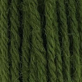 Appletons Crewel Wool 2 Ply 547 Early English Green skein