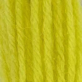 Appletons Crewel Wool 2 Ply 683 Fizzy Sherbet skein
