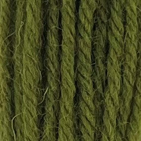 Appletons Tapestry Wool 4 Ply 255 Grass Green skein