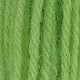 Appletons Tapestry Wool 4 Ply 422 Leaf Green skein