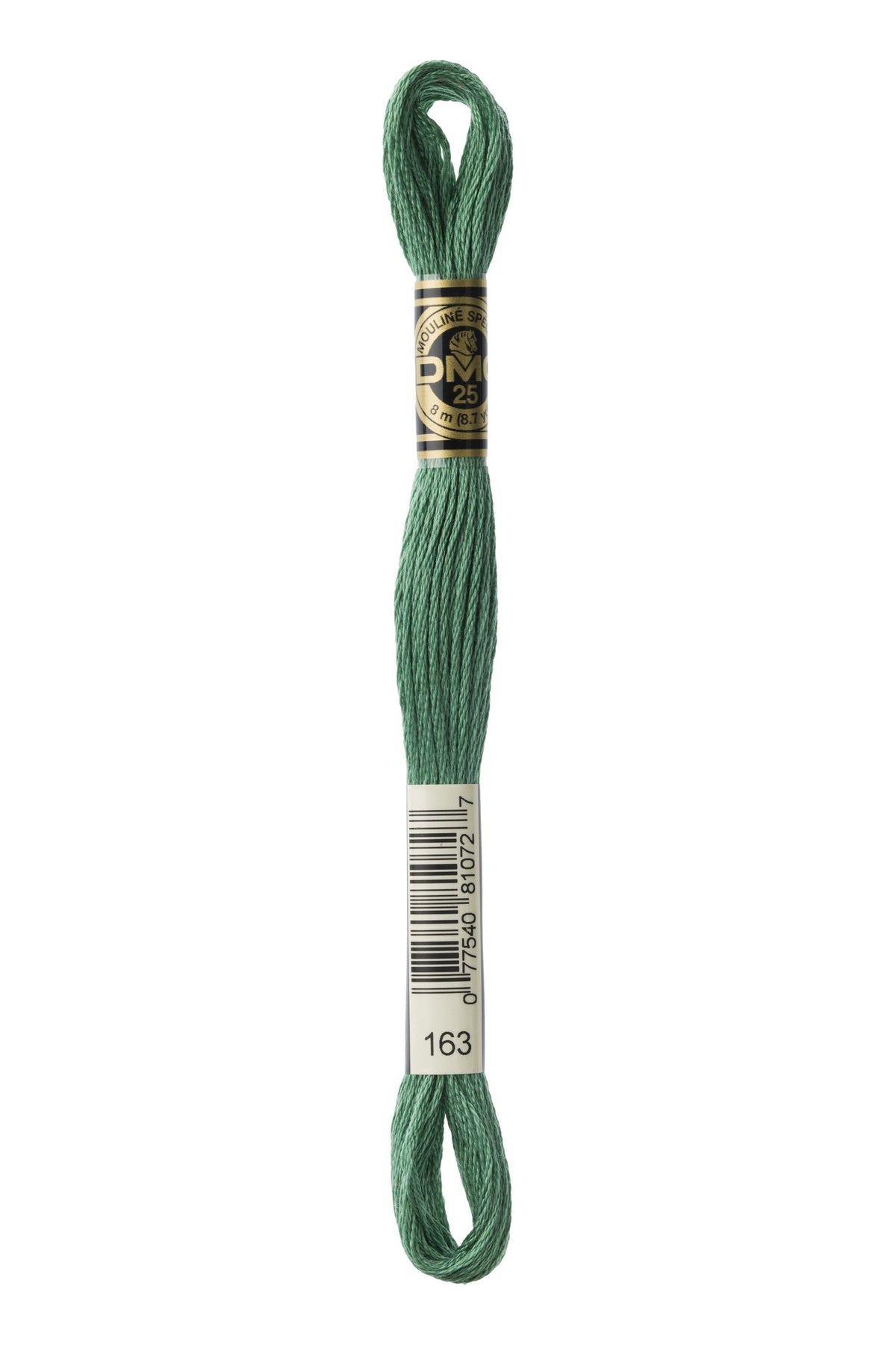 DMC Mouliné Stranded Cotton 163 Celadon Green Medium