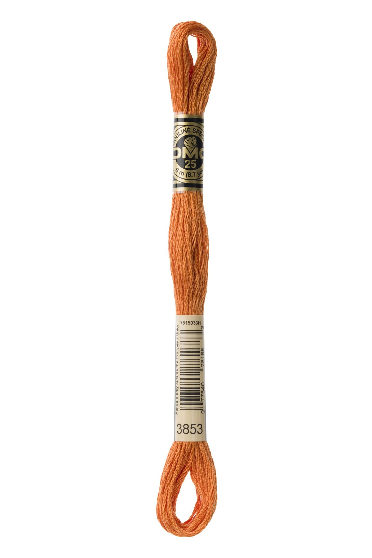 DMC Mouliné Stranded Cotton 3853 Autumn Gold Dark
