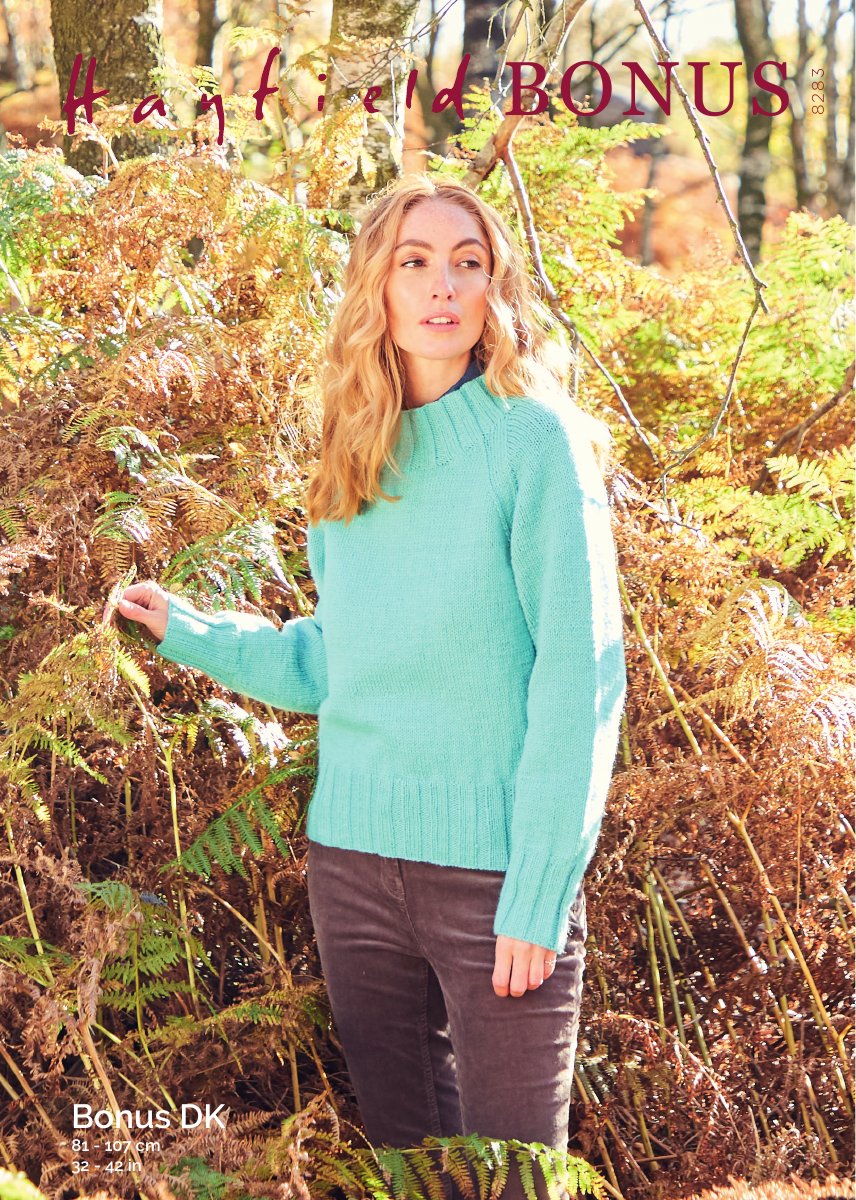 Hayfield 8283 Sweater in Bonus DK pattern cover
